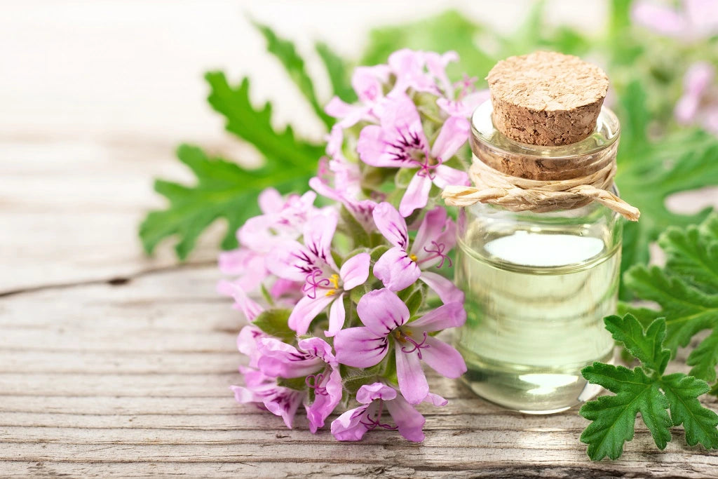 Geranium EO