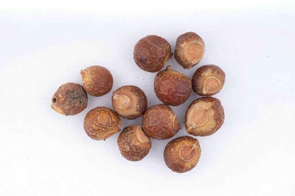 Soapnut