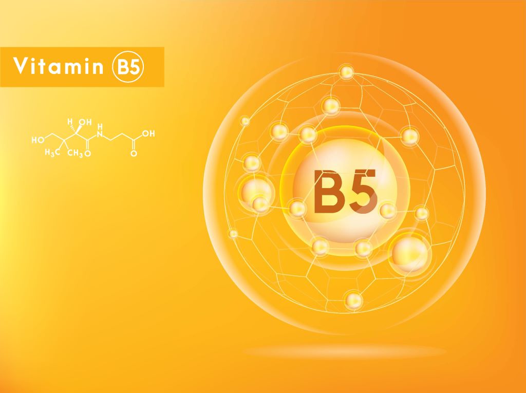 Vitamin B5: Benefits, Uses, Side-Effects & More | Curlvana